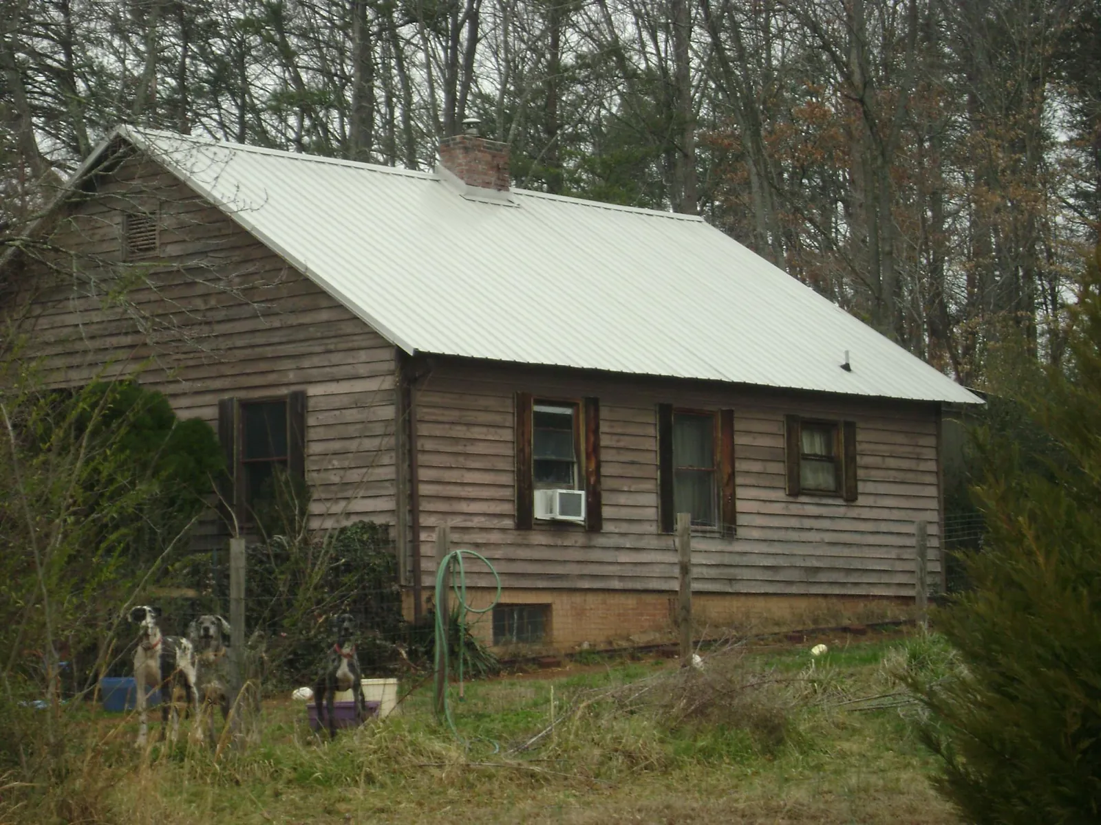 White metal roof on an old wood sided farmhouse, from a Metal Roof Installation job in Olaton